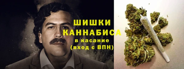 сатива Арсеньев