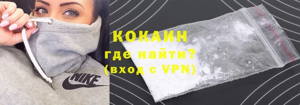 сатива Арсеньев
