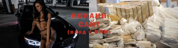 apvp Яровое