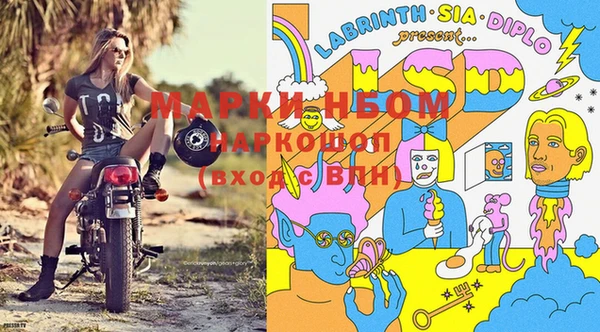 сатива Арсеньев