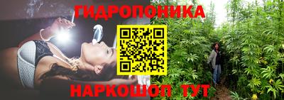 гидра Апшеронск