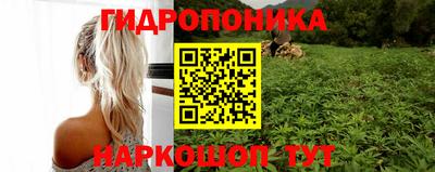 гидропоника Аргун